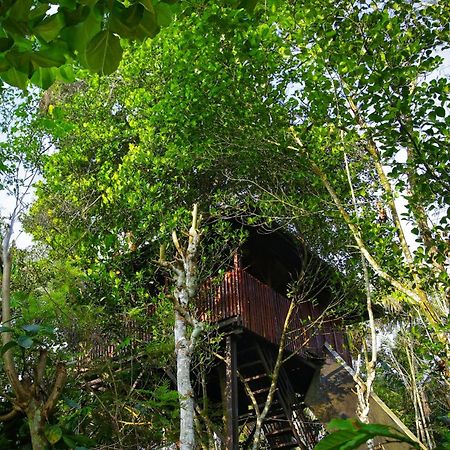 Greens Tree House & Wood House Sultan Bathery Bagian luar foto