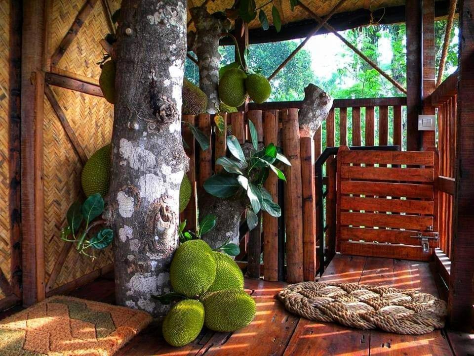 Greens Tree House & Wood House Sultan Bathery Bagian luar foto