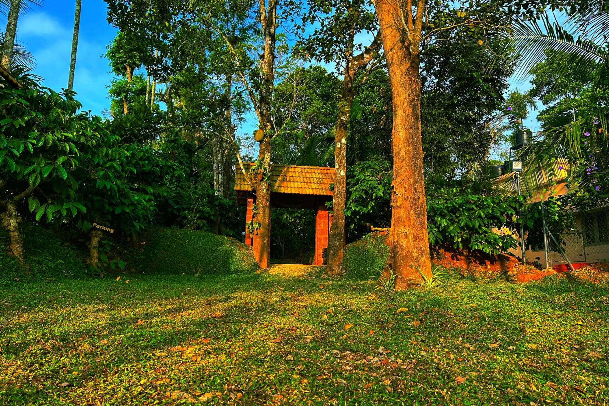 Greens Tree House & Wood House Sultan Bathery Bagian luar foto