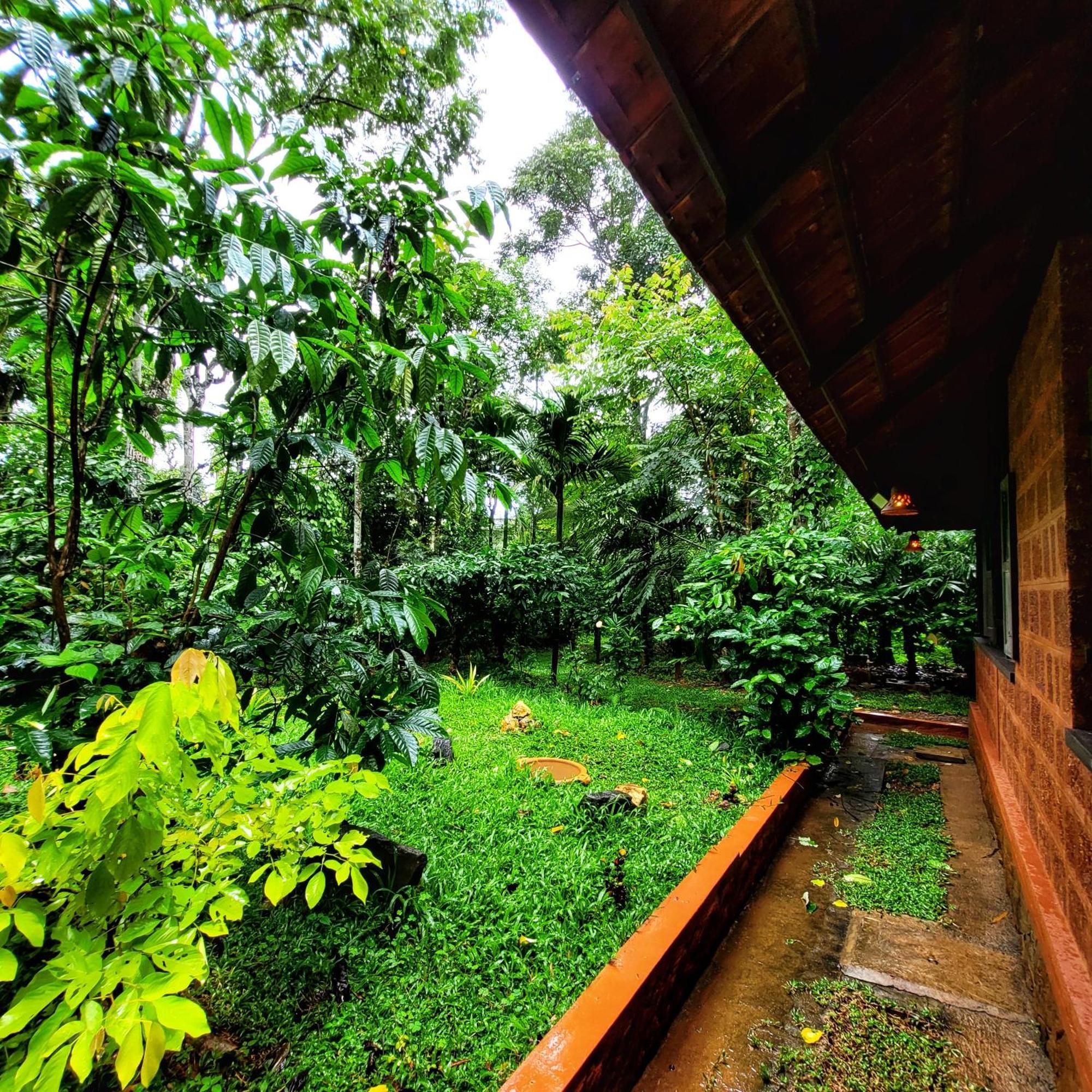 Greens Tree House & Wood House Sultan Bathery Bagian luar foto