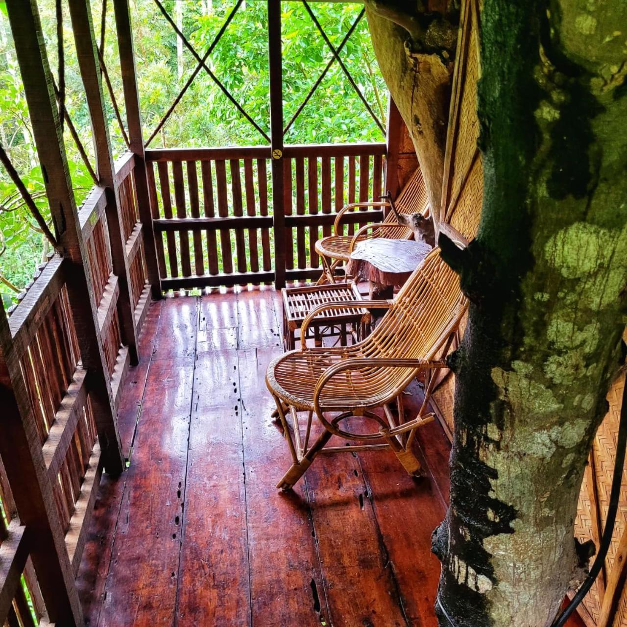 Greens Tree House & Wood House Sultan Bathery Bagian luar foto