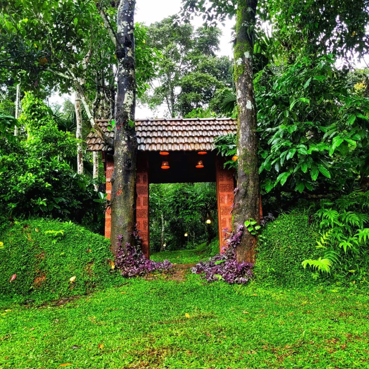 Greens Tree House & Wood House Sultan Bathery Bagian luar foto