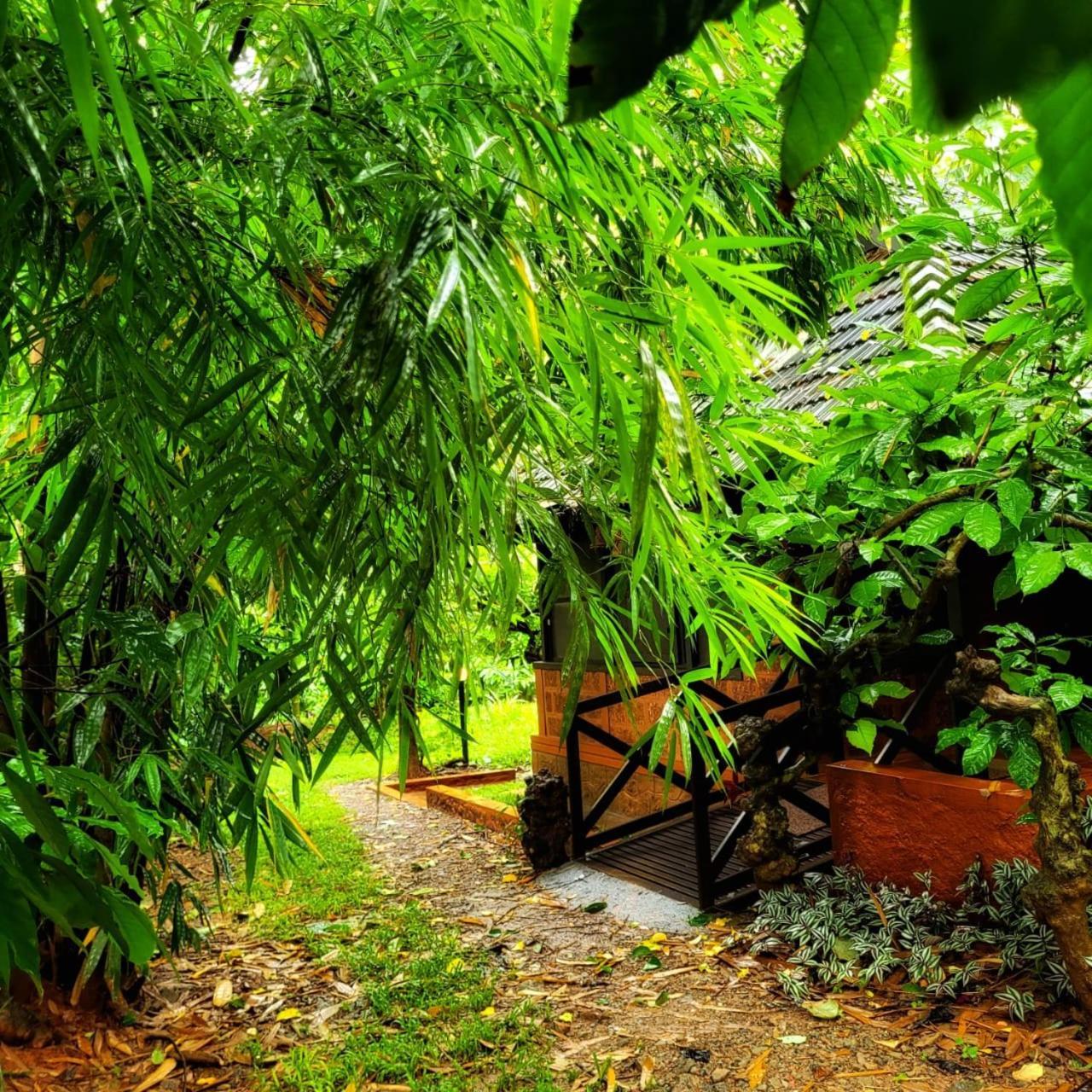 Greens Tree House & Wood House Sultan Bathery Bagian luar foto